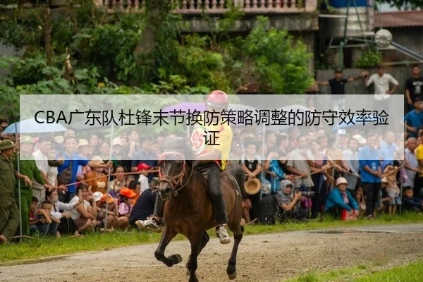 CBA广东队杜锋末节换防策略调整的防守效率验证